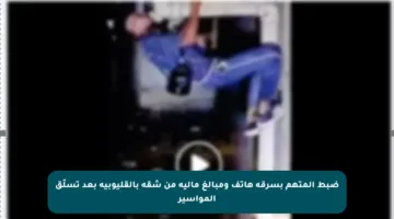 ضبط المتهم بسرقة هاتف ومبالغ مالية من شقة بالقليوبية بعد تسلّق المواسير
